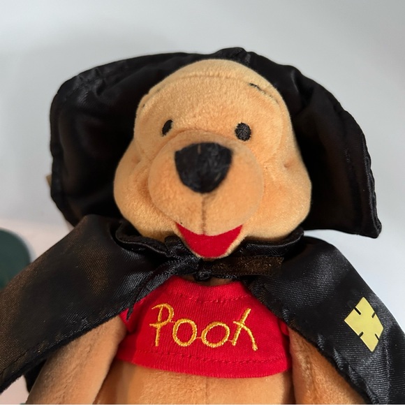 Disney Mini Bean Bag 2000 Witch Pooh 9” plush - Picture 10 of 12